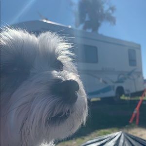 Meet your Posher, Marco